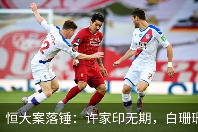 恒大案落锤：许家印无期，白珊珊晒烟火过日子